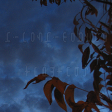 ODP 004.1