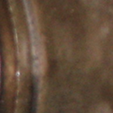 ODP 016